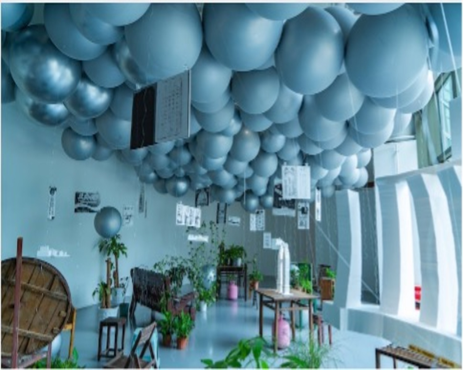 Urban Reflections The Down to Earth Exhibit 2 1