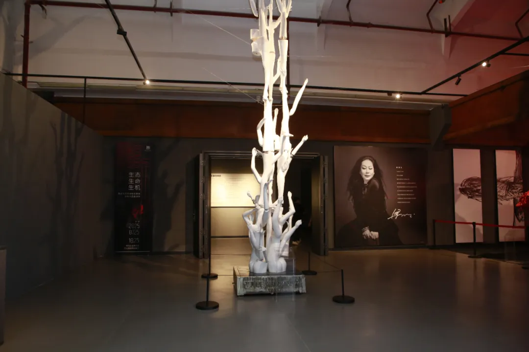 liang mingyu eco art liuzhou 2025 1