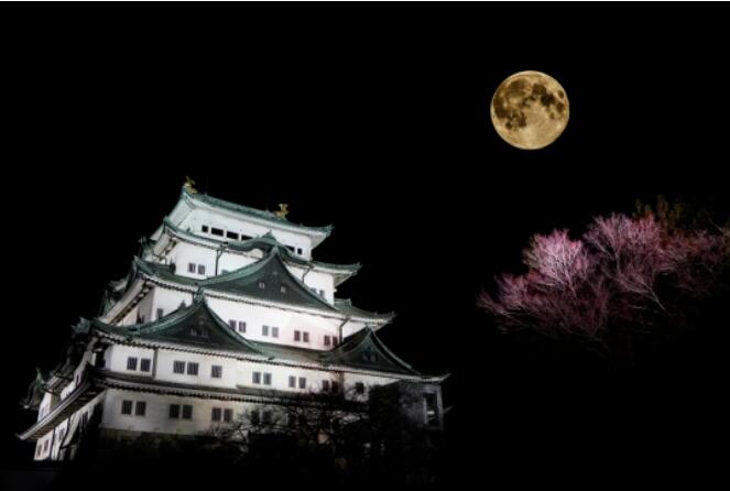 nagoya history humanism innovation 3