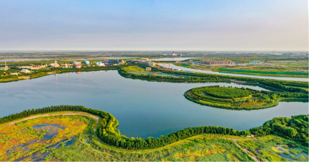 20260815 eco city system design case study 4
